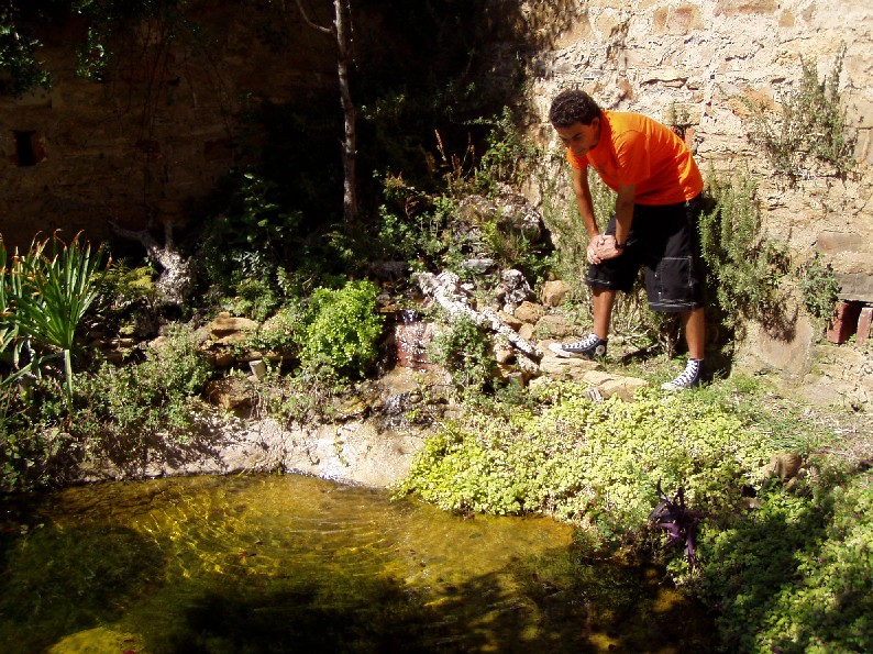 Il Laghetto del Centro di Entomologia - Piombino (LI)